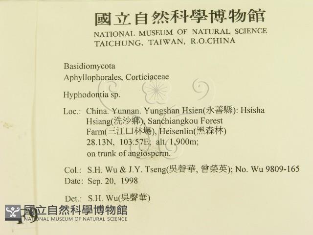 登錄號:F0009251藏品圖，第2張