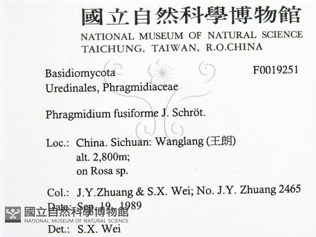 登錄號:F0019251藏品圖，第2張