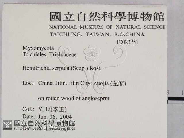 登錄號:F0023251藏品圖，第2張