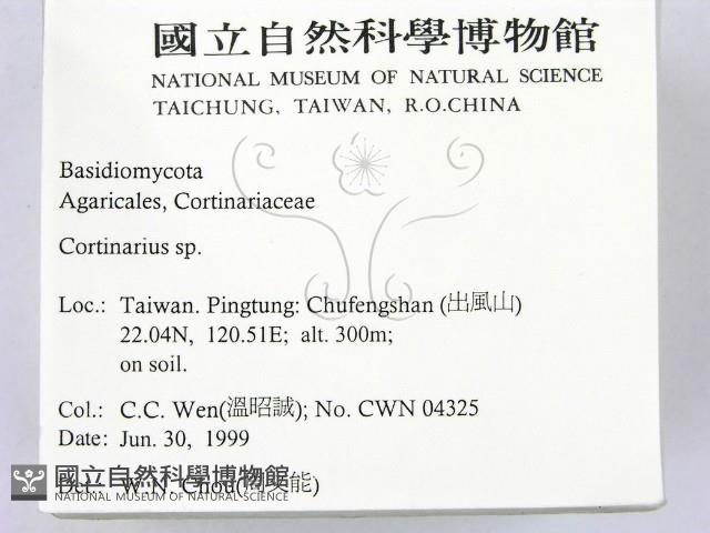 登錄號:F0013251藏品圖，第2張