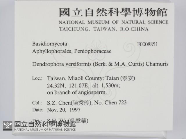 登錄號:F0008851藏品圖，第2張