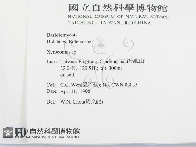 登錄號:F0010851藏品圖，第2張