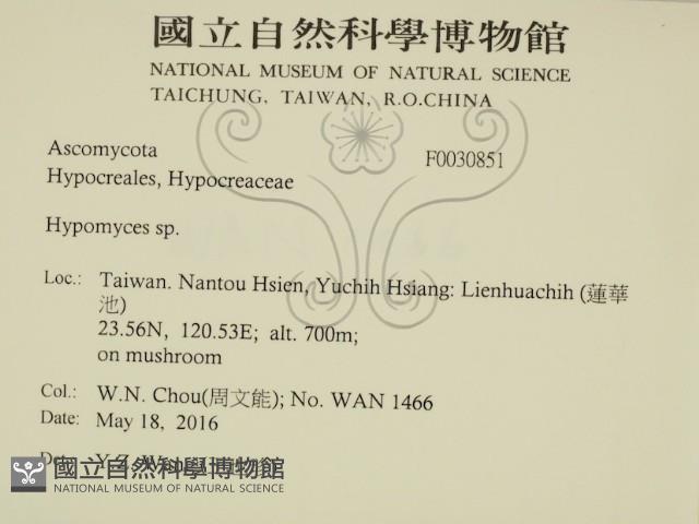 登錄號:F0030851藏品圖，第2張