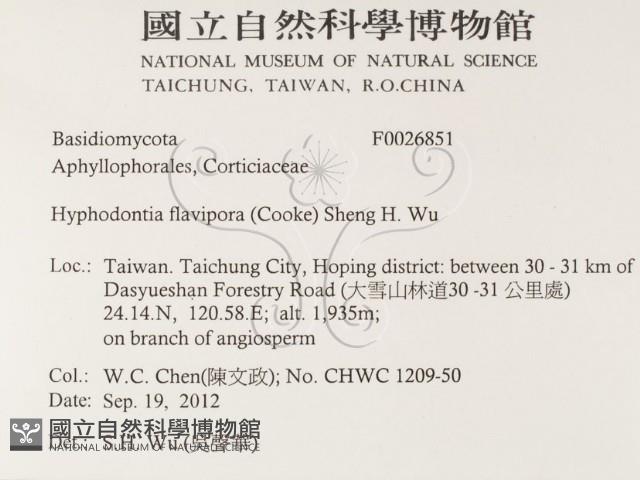 登錄號:F0026851藏品圖，第2張