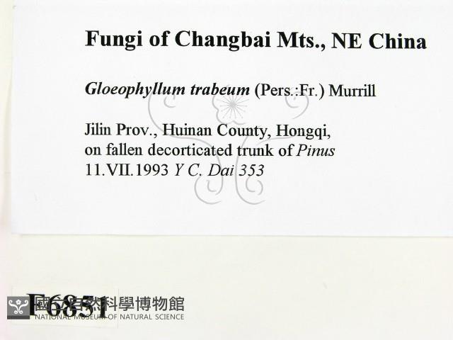 登錄號:F0006851藏品圖，第2張