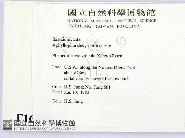 登錄號:F0016851藏品圖，第2張