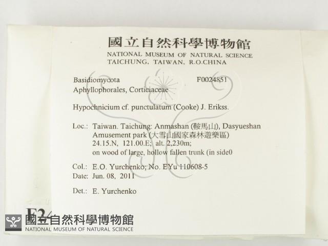 登錄號:F0024851藏品圖，第2張