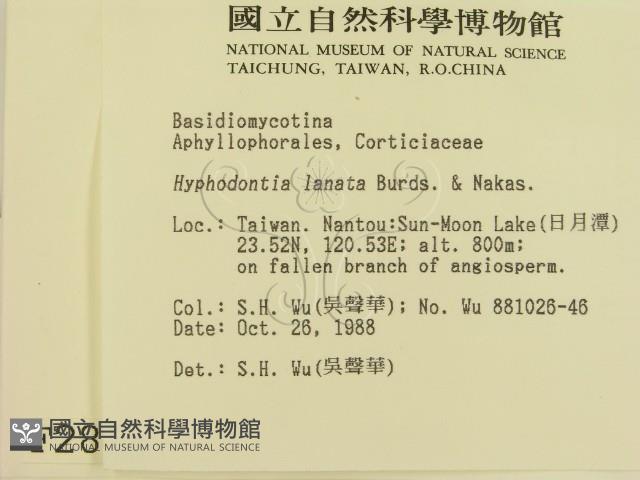 登錄號:F0002851藏品圖，第2張