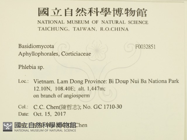 射脈菌屬藏品圖，第2張