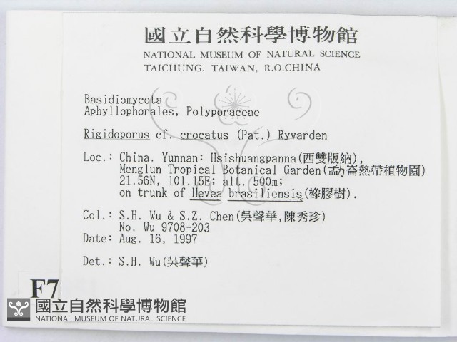 登錄號:F0007851藏品圖，第2張