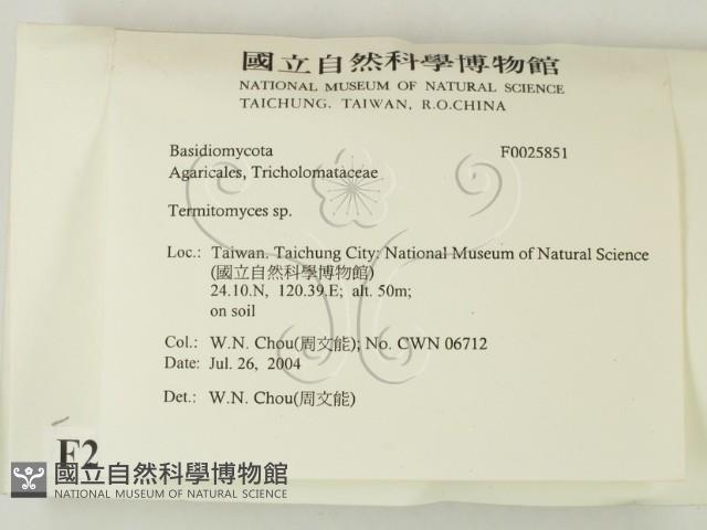 登錄號:F0025851藏品圖，第2張