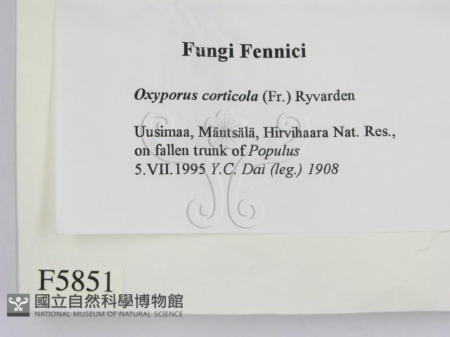 登錄號:F0005851藏品圖，第2張