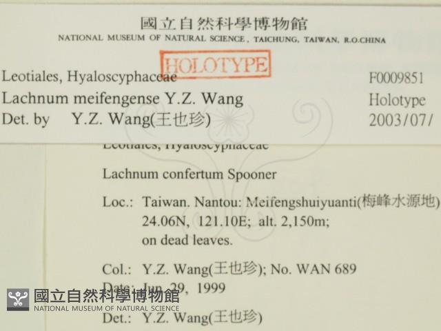 登錄號:F0009851藏品圖，第2張