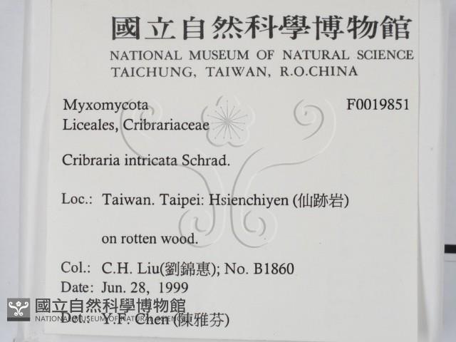登錄號:F0019851藏品圖，第2張