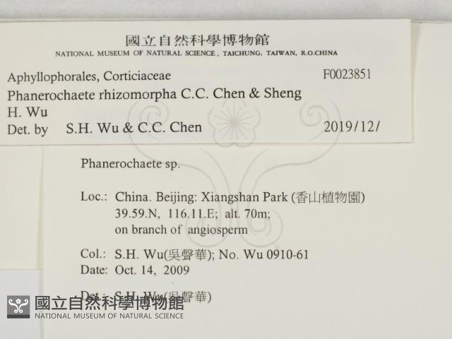 登錄號:F0023851藏品圖，第2張