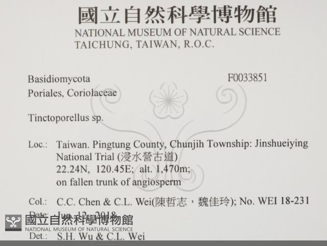 登錄號:F0033851藏品圖，第2張