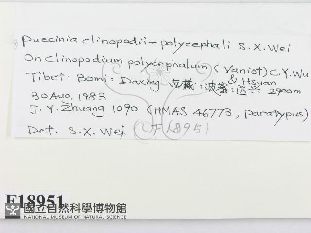 登錄號:F0018951藏品圖，第2張