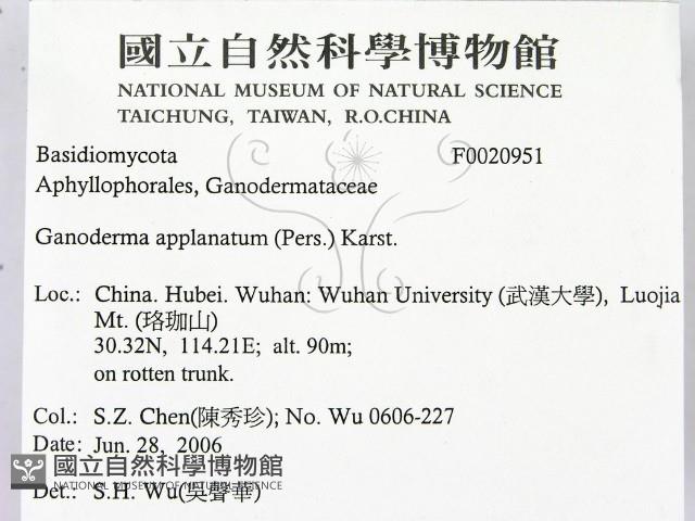 登錄號:F0020951藏品圖，第2張