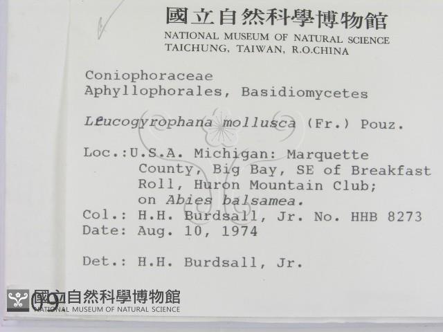 登錄號:F0000951藏品圖，第2張