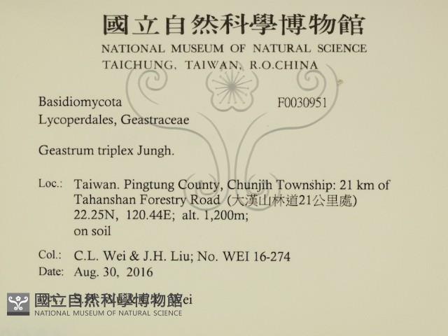 登錄號:F0030951藏品圖，第2張