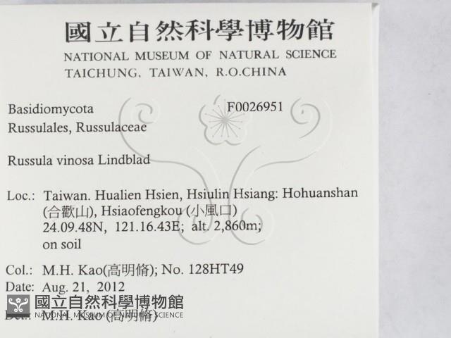 登錄號:F0026951藏品圖，第2張