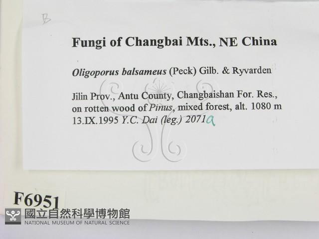 登錄號:F0006951藏品圖，第2張