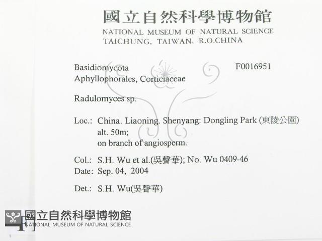登錄號:F0016951藏品圖，第2張