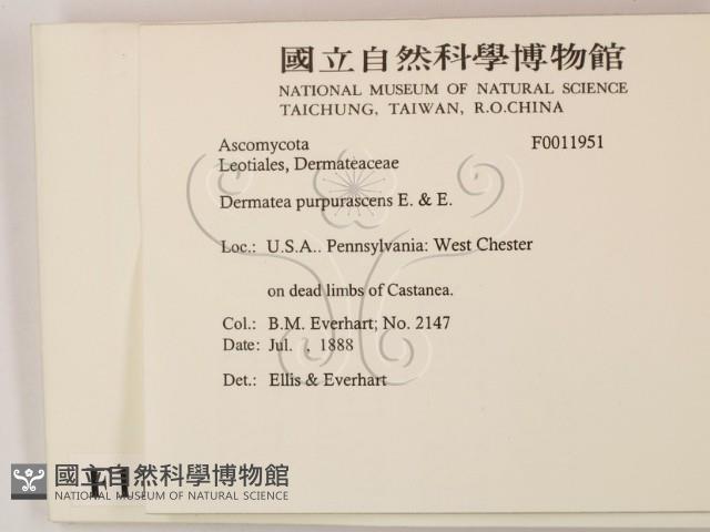 登錄號:F0011951藏品圖，第2張