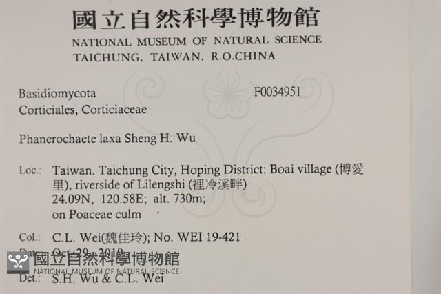 登錄號:F0034951藏品圖，第2張