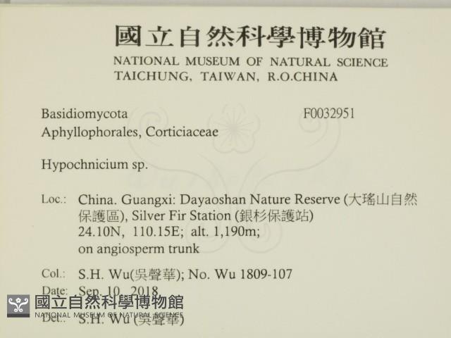 登錄號:F0032951藏品圖，第2張