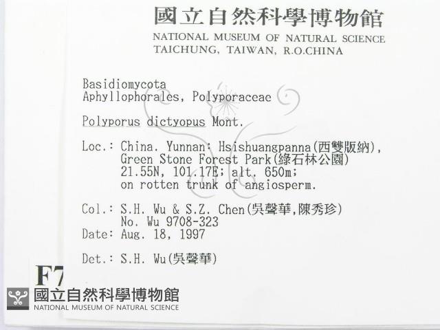 登錄號:F0007951藏品圖，第2張