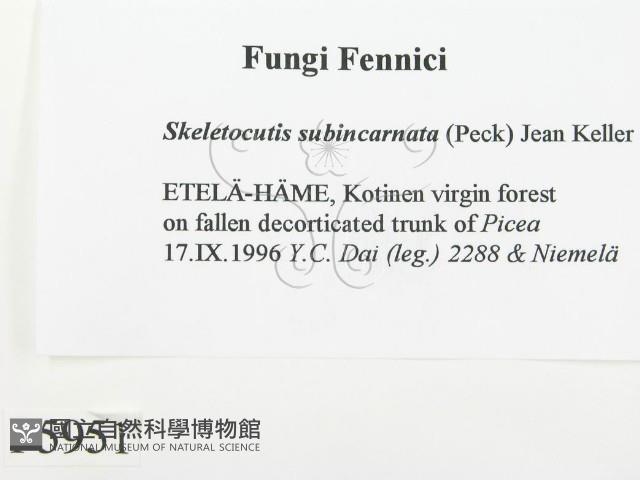 登錄號:F0005951藏品圖，第2張