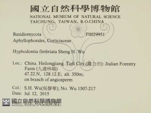 登錄號:F0029951藏品圖，第2張