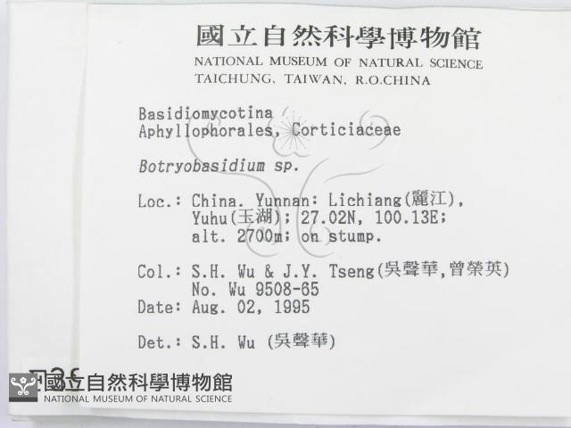 登錄號:F0003951藏品圖，第2張