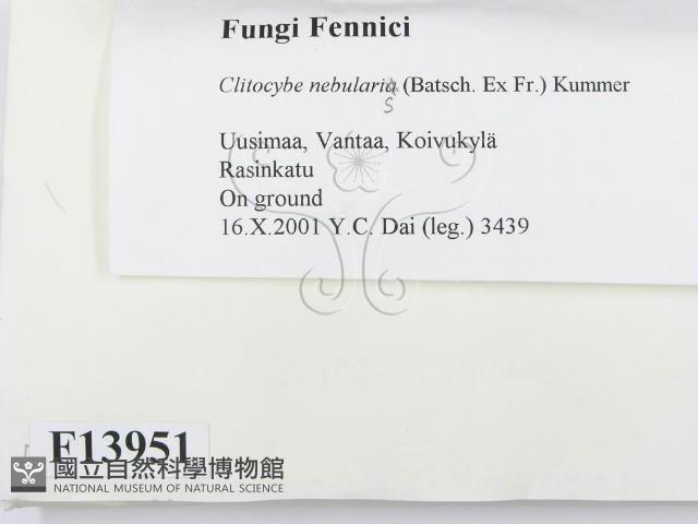 登錄號:F0013951藏品圖，第2張