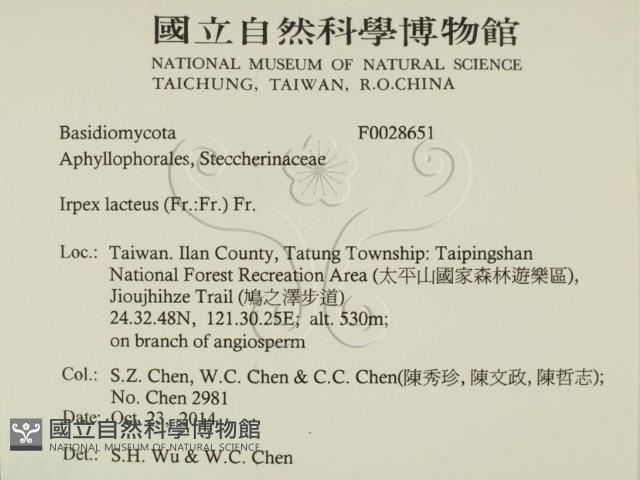 登錄號:F0028651藏品圖，第2張