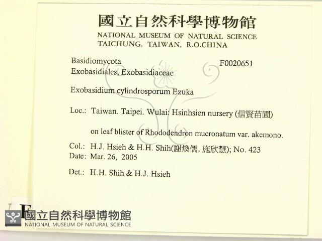 登錄號:F0020651藏品圖，第2張