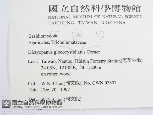 登錄號:F0010651藏品圖，第2張