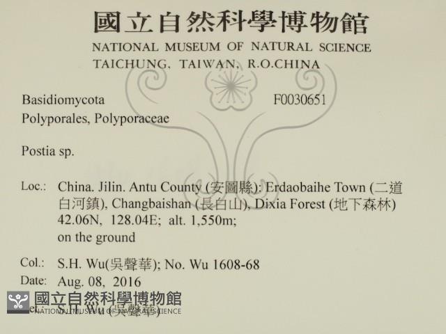 登錄號:F0030651藏品圖，第2張
