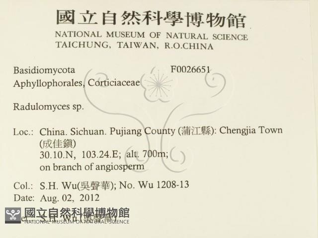 登錄號:F0026651藏品圖，第2張