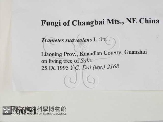 登錄號:F0006651藏品圖，第2張