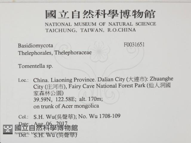 登錄號:F0031651藏品圖，第2張