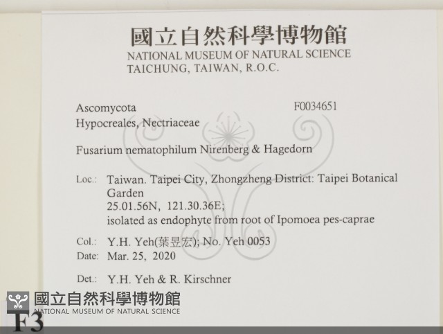登錄號:F0034651藏品圖，第2張