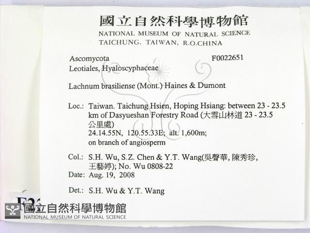 登錄號:F0022651藏品圖，第2張