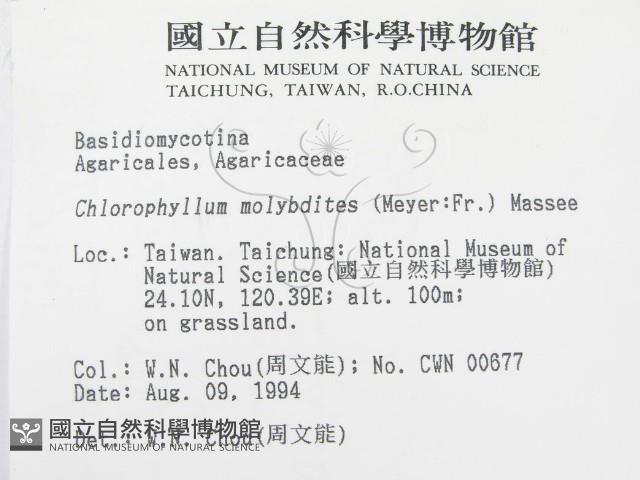 登錄號:F0002651藏品圖，第2張