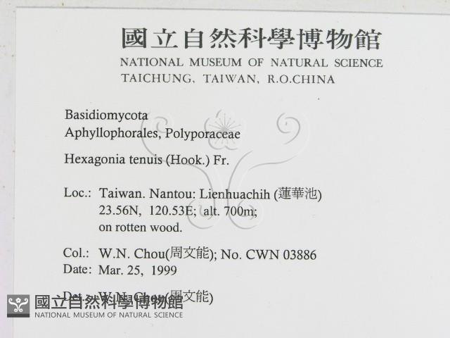 登錄號:F0012651藏品圖，第2張