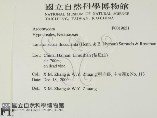 登錄號:F0019651藏品圖，第2張