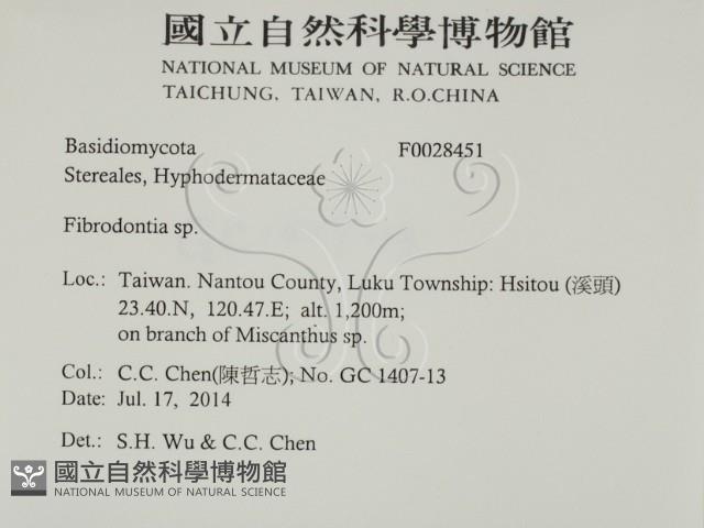 登錄號:F0028451藏品圖，第2張