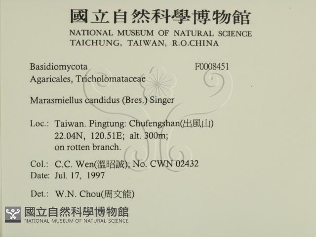 登錄號:F0008451藏品圖，第2張