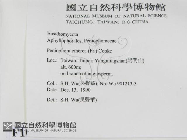 登錄號:F0010451藏品圖，第2張